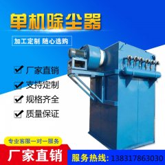 定制锅炉除尘器生物质燃煤烟气脉冲袋式布袋高温阻火单机小型工业设备